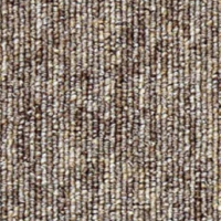 بيست بني فاتح - 81